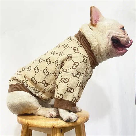 dog gucci sweater